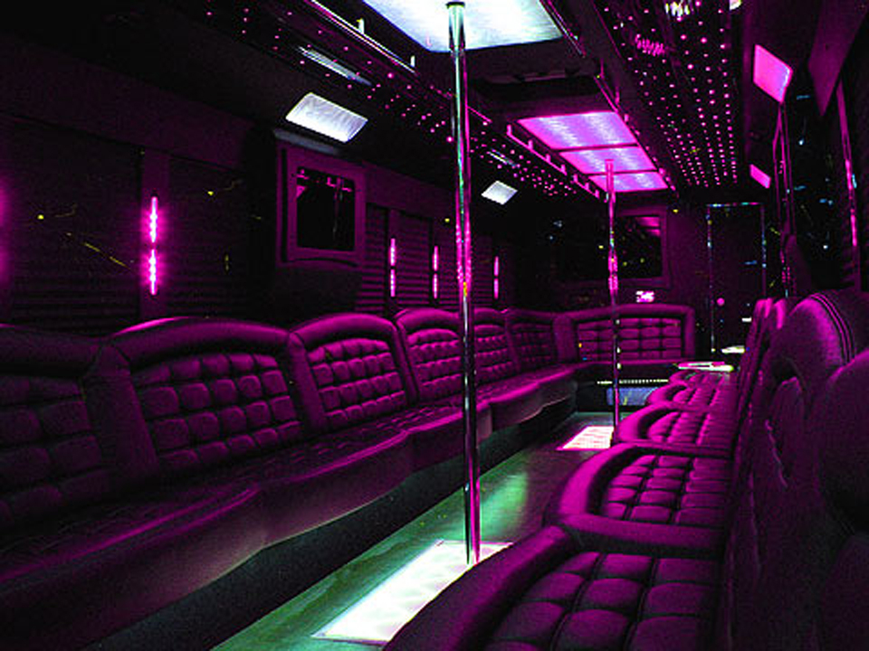 Party bus in the fleet